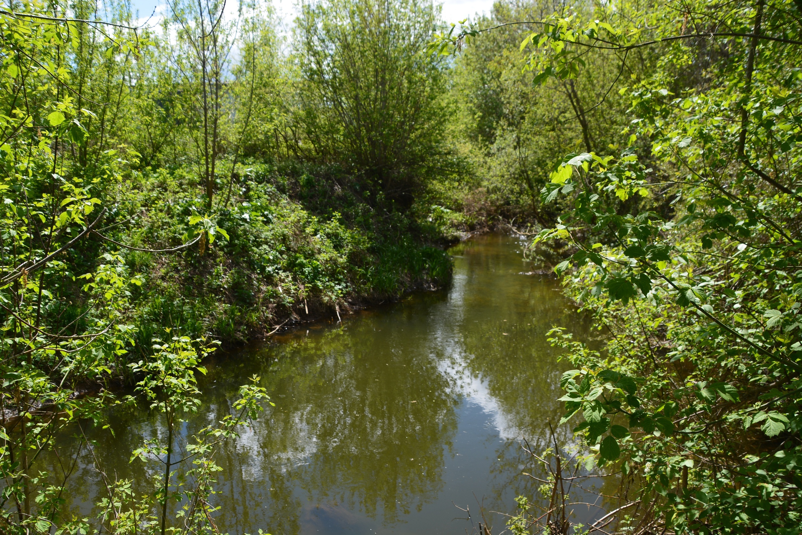 В Башкирию возвращается теплая и ясная погода