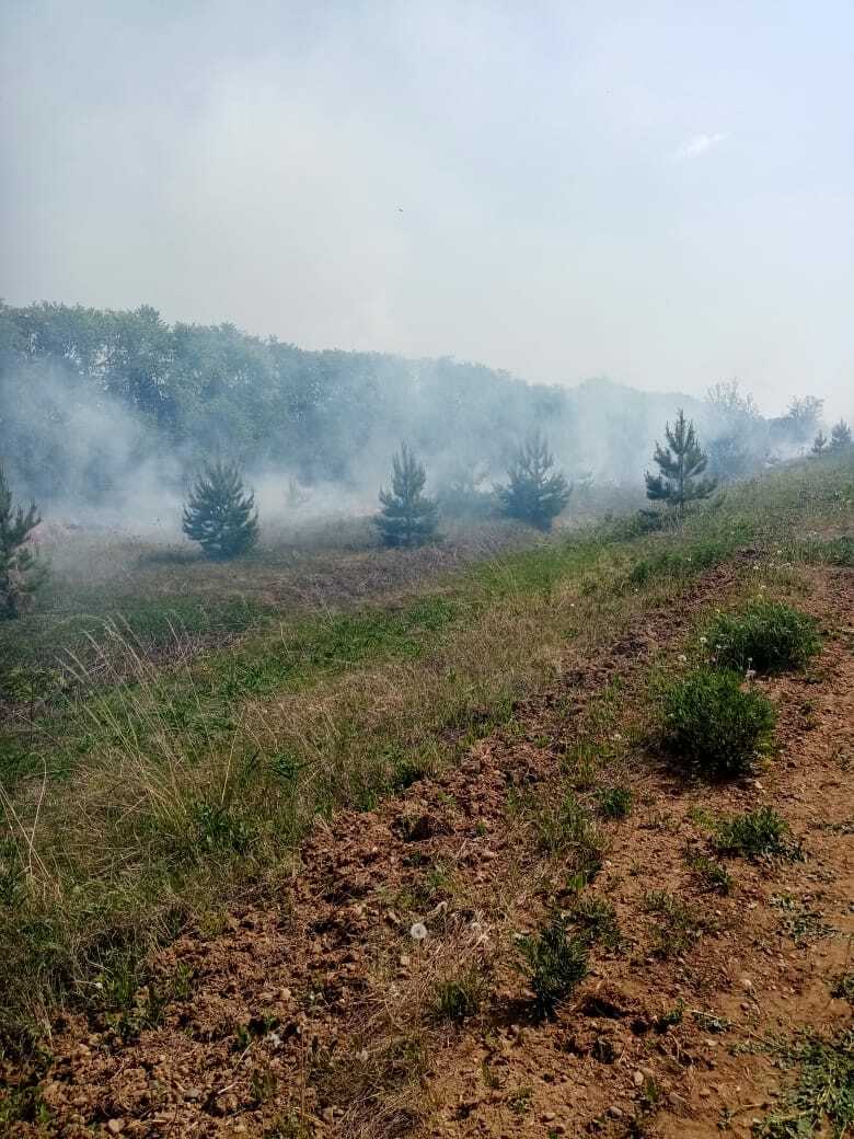 Обзор ЧП: возле нефтескважины горела трава; близ Султыево опрокинулся Рено Сандеро