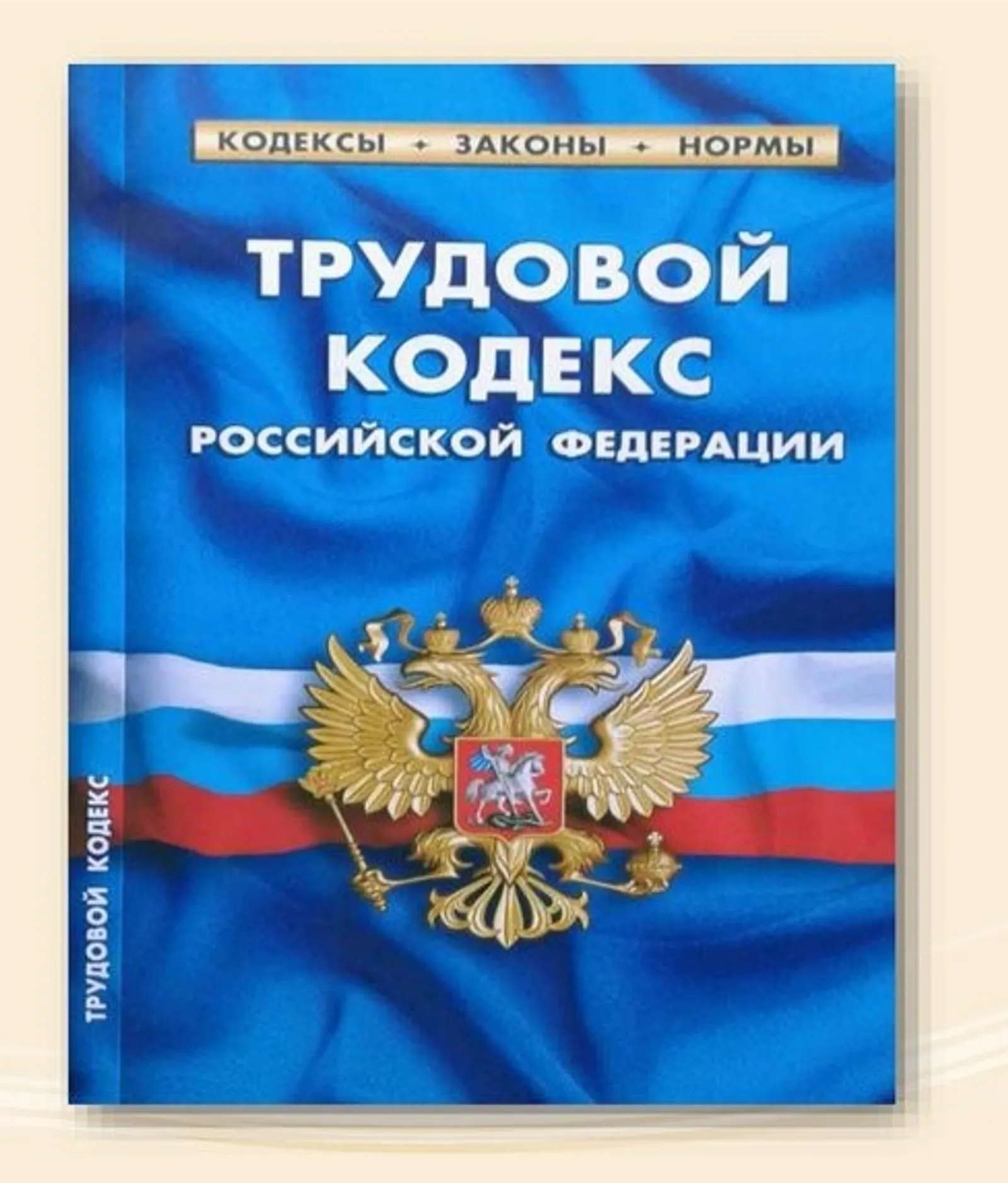 Запрет на испытательный срок мамам малышей