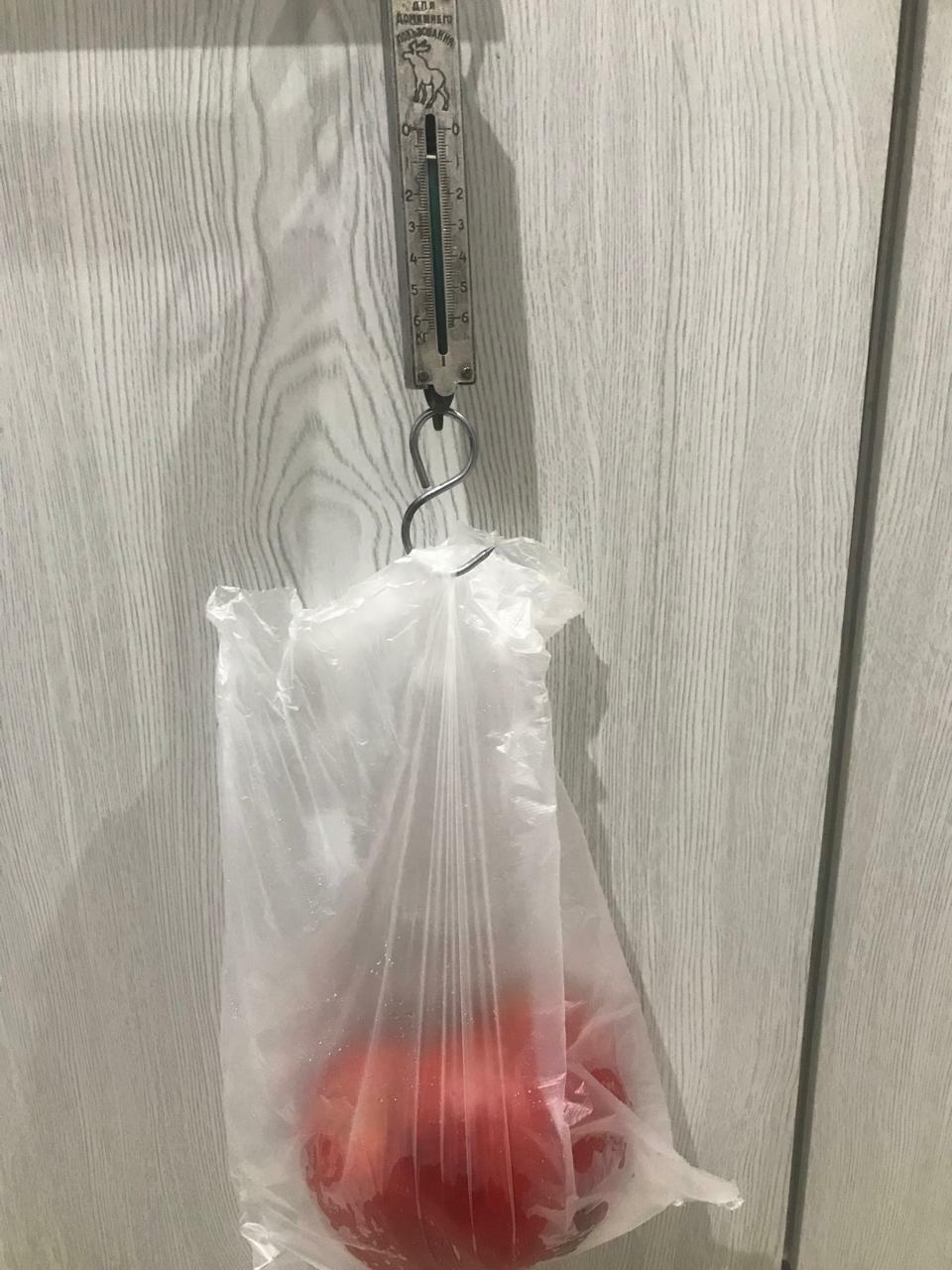 В Янауле участники центра «Энергия возраста» делятся урожаем с клиентами ПНИ