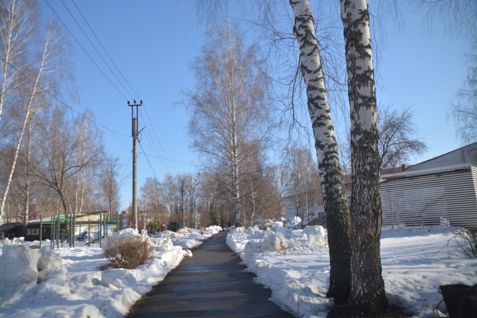 Ильдар Шарипов  Янаул, парк весной