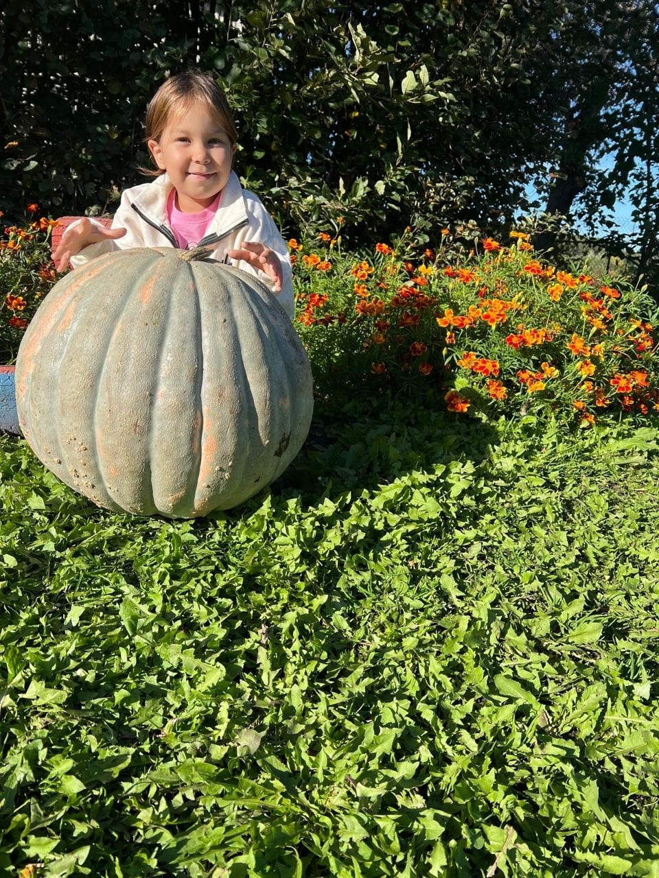 Самира Кашапова: «А у нас в огороде выросли вот такие великаны!»