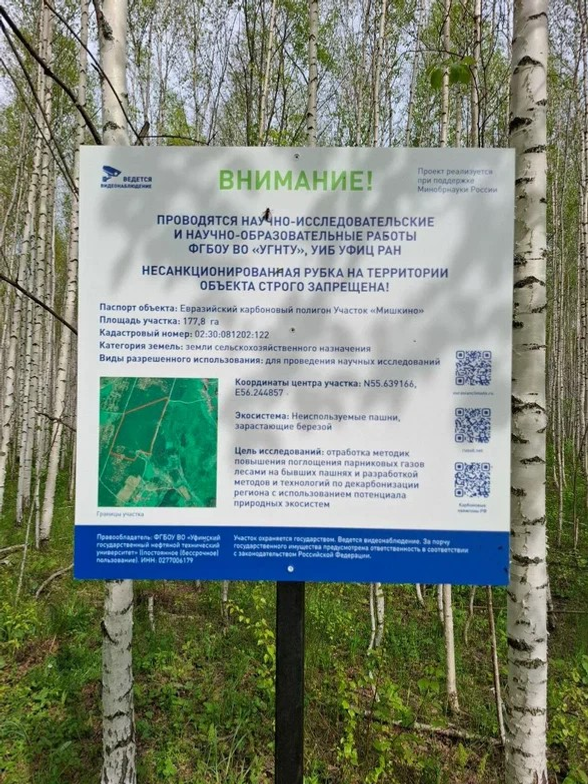 Карбоновый полигон Межвузовского кампуса Уфы закончил полевой сезон