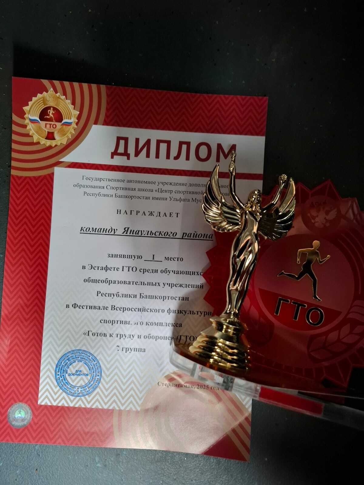 Янаульские спортсмены стали победителями летнего фестиваля ГТО