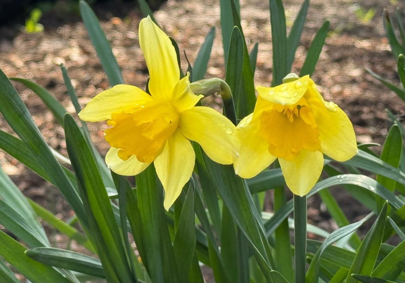 В Башкирию придет летняя жара