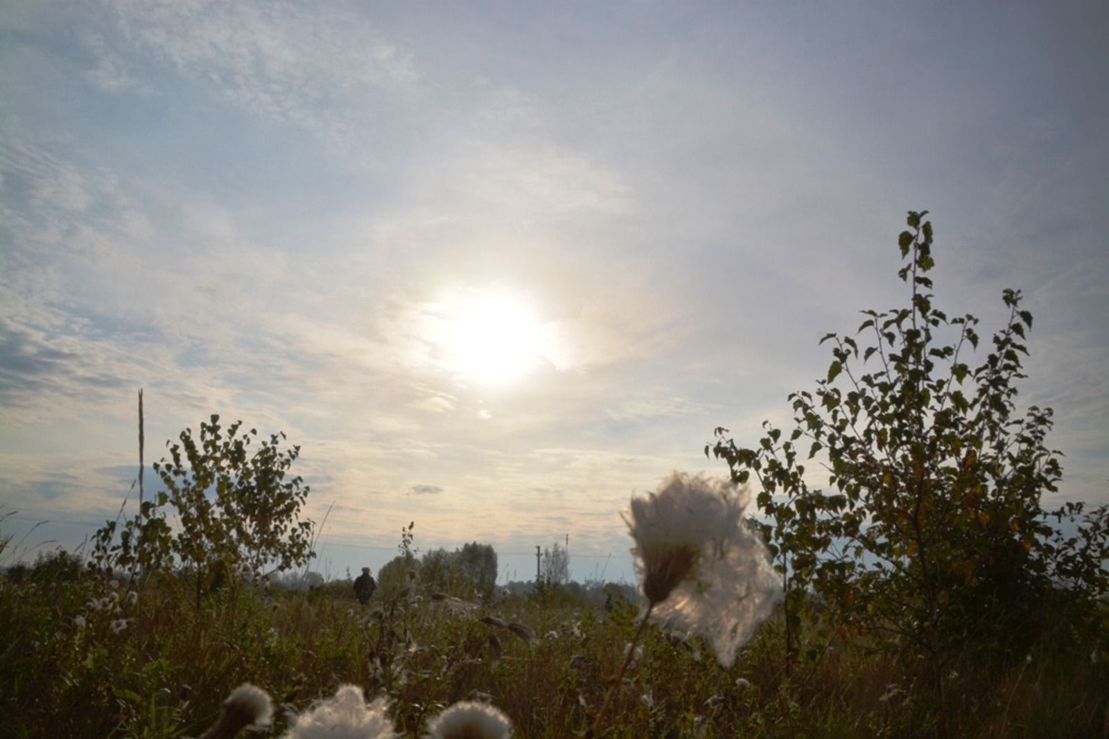 Ильдар Шарипов  Осень в Янаульском районе
