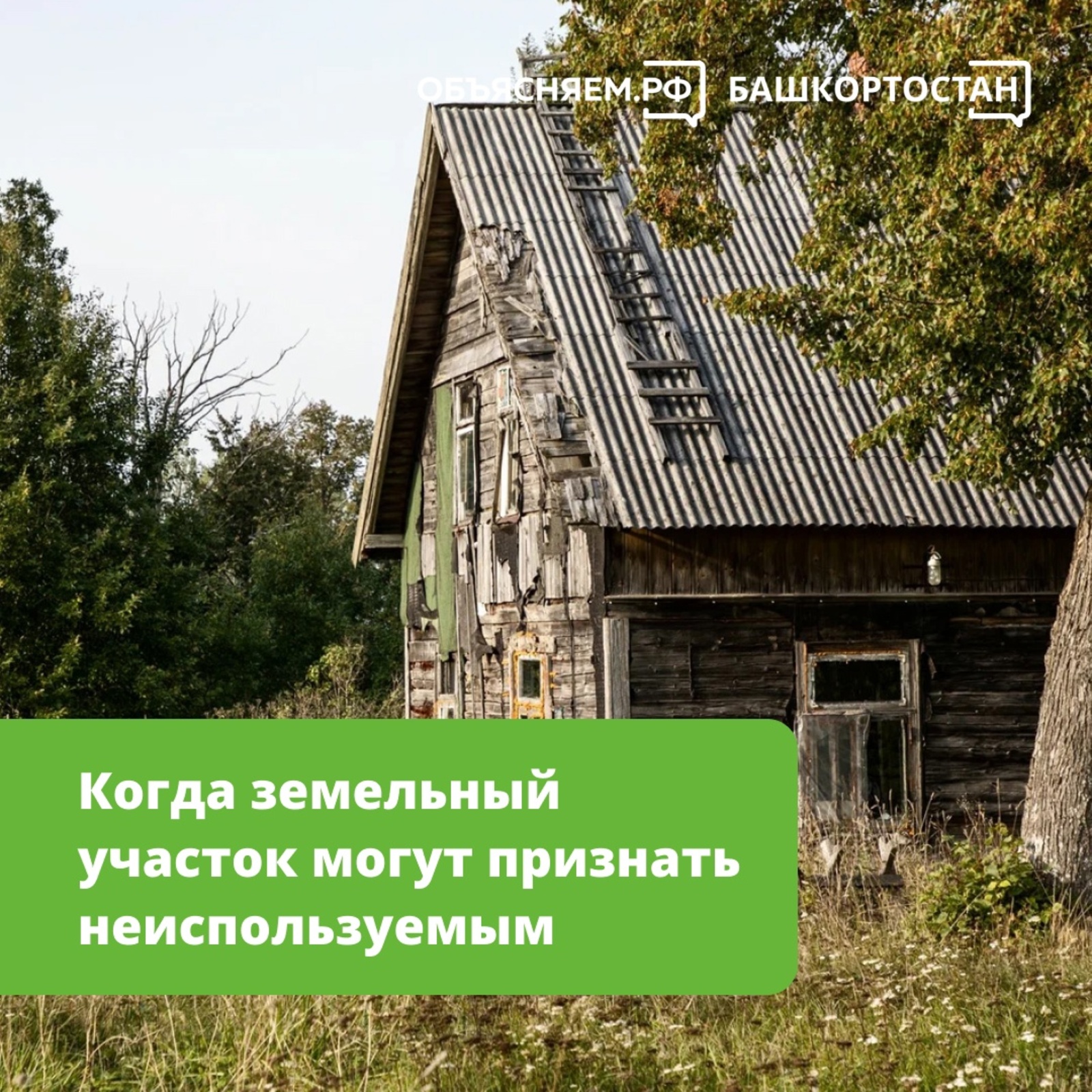 Жителям Башкирии рассказали, когда участок могут признать неиспользуемым