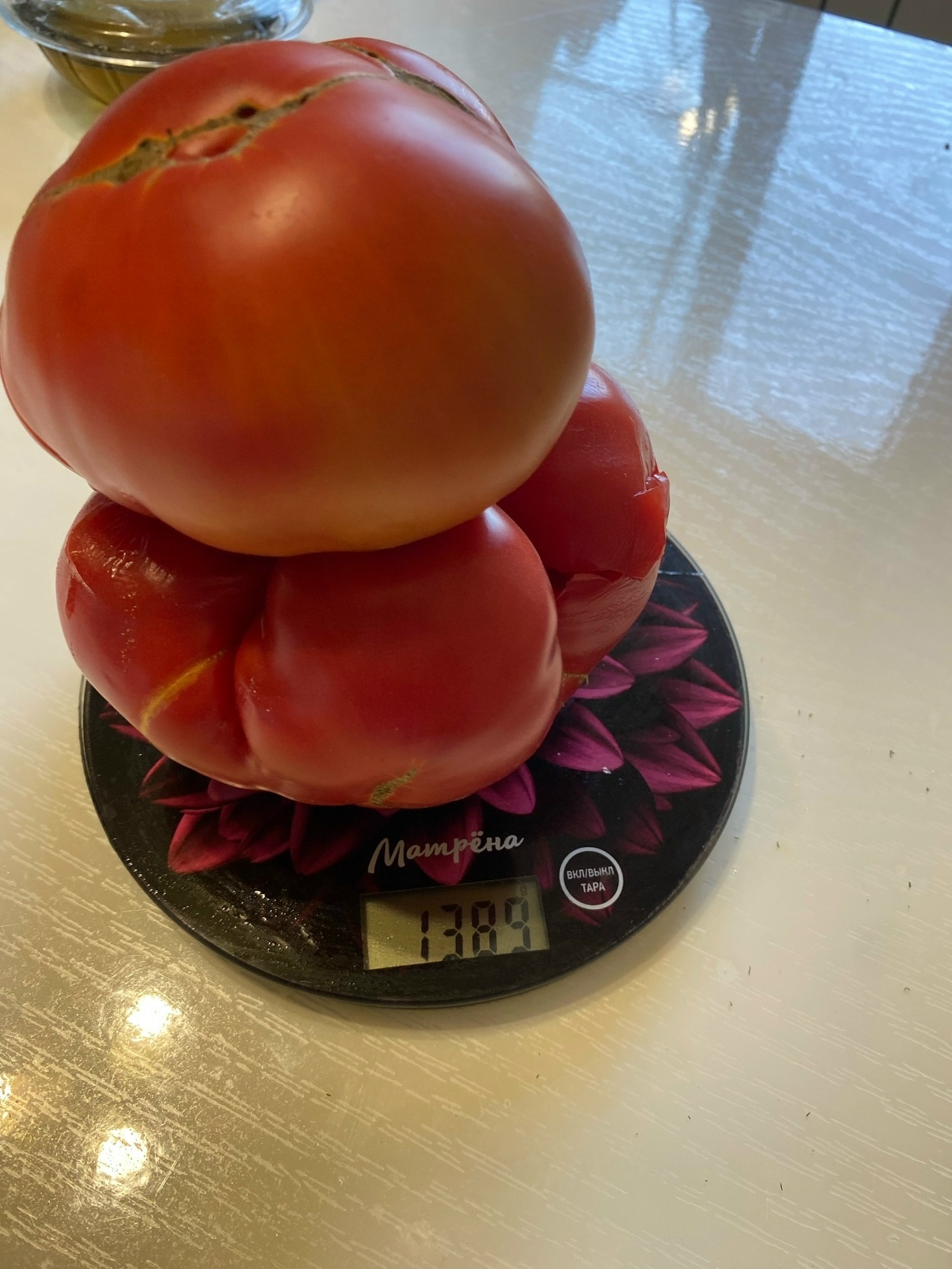 У Адиевых растут почти 3-метровые канны