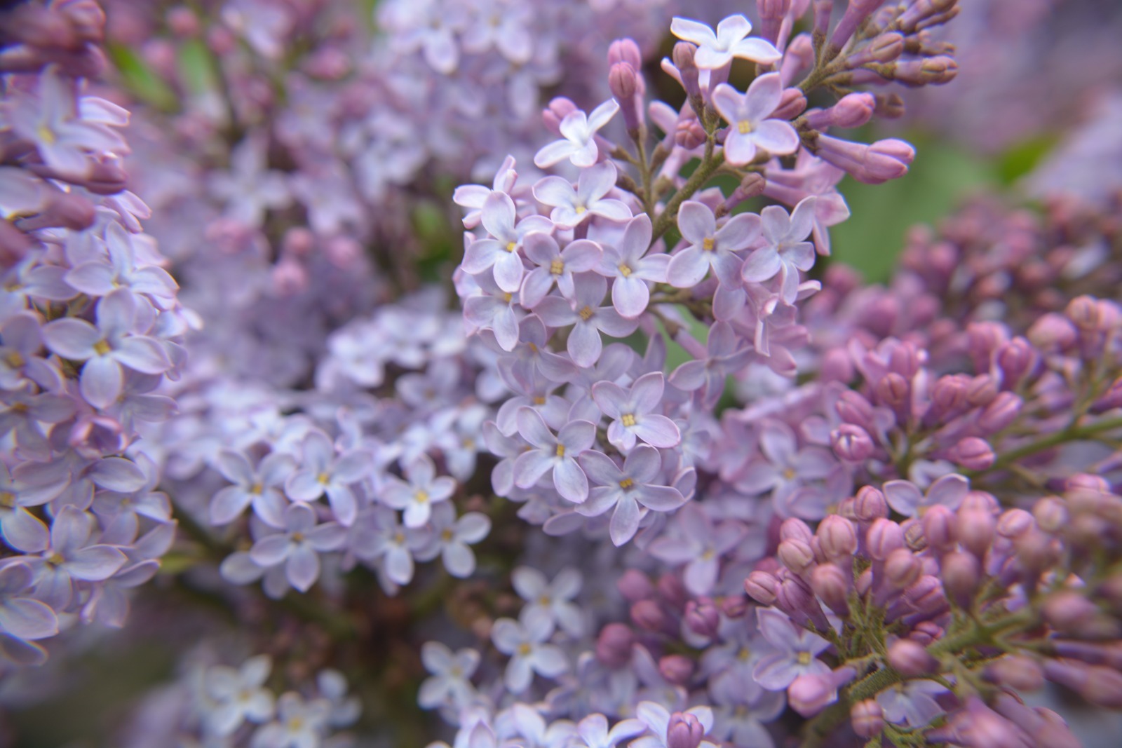 В Башкирию возвращается теплая и ясная погода