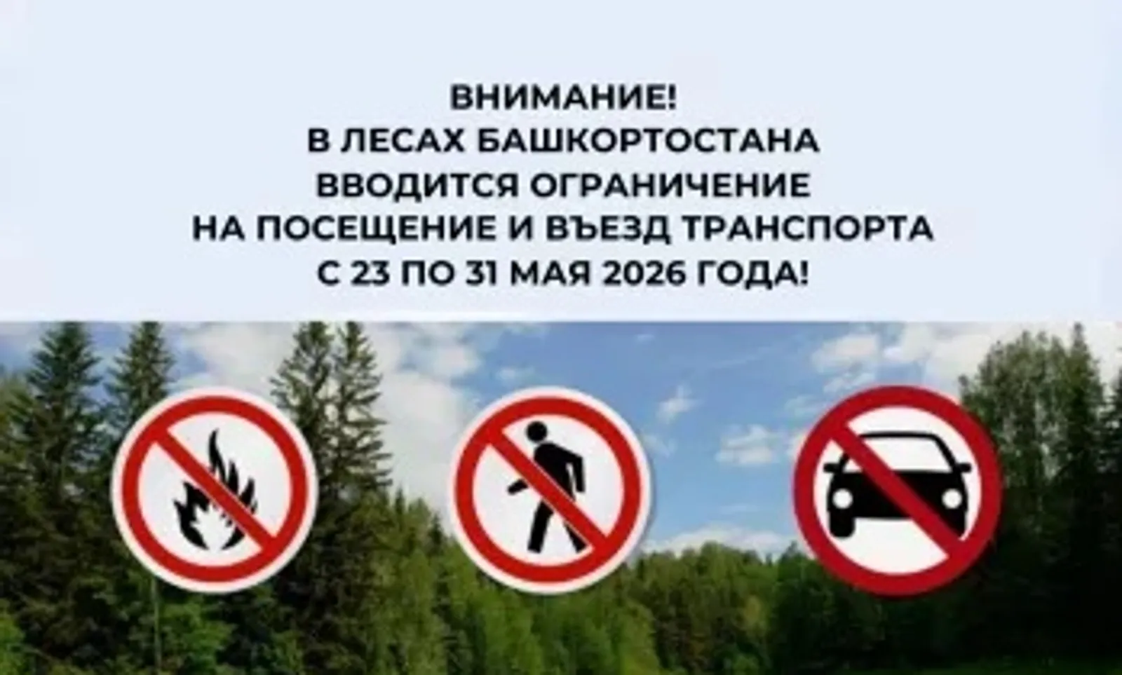 В лесах Башкирии вводится ограничение на посещение и въезд транспорта