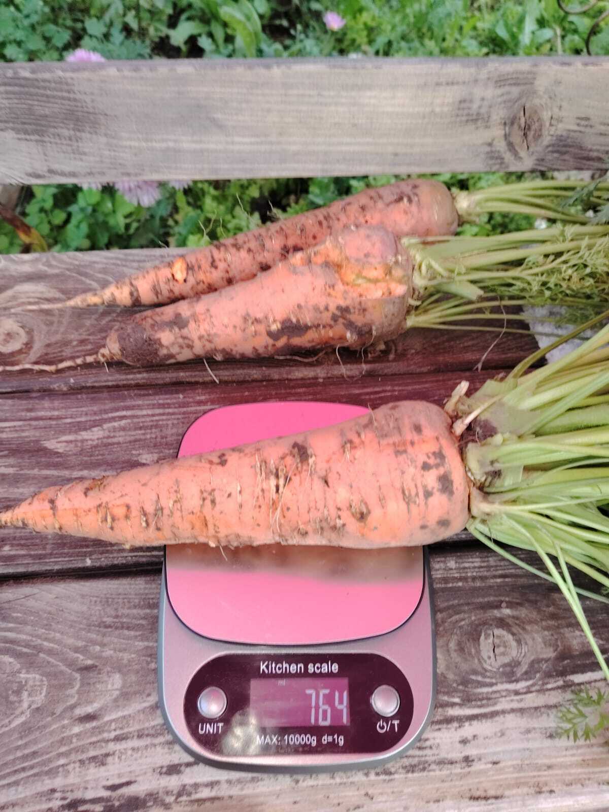 «Просто королева осени» Фирусы Адгамовны