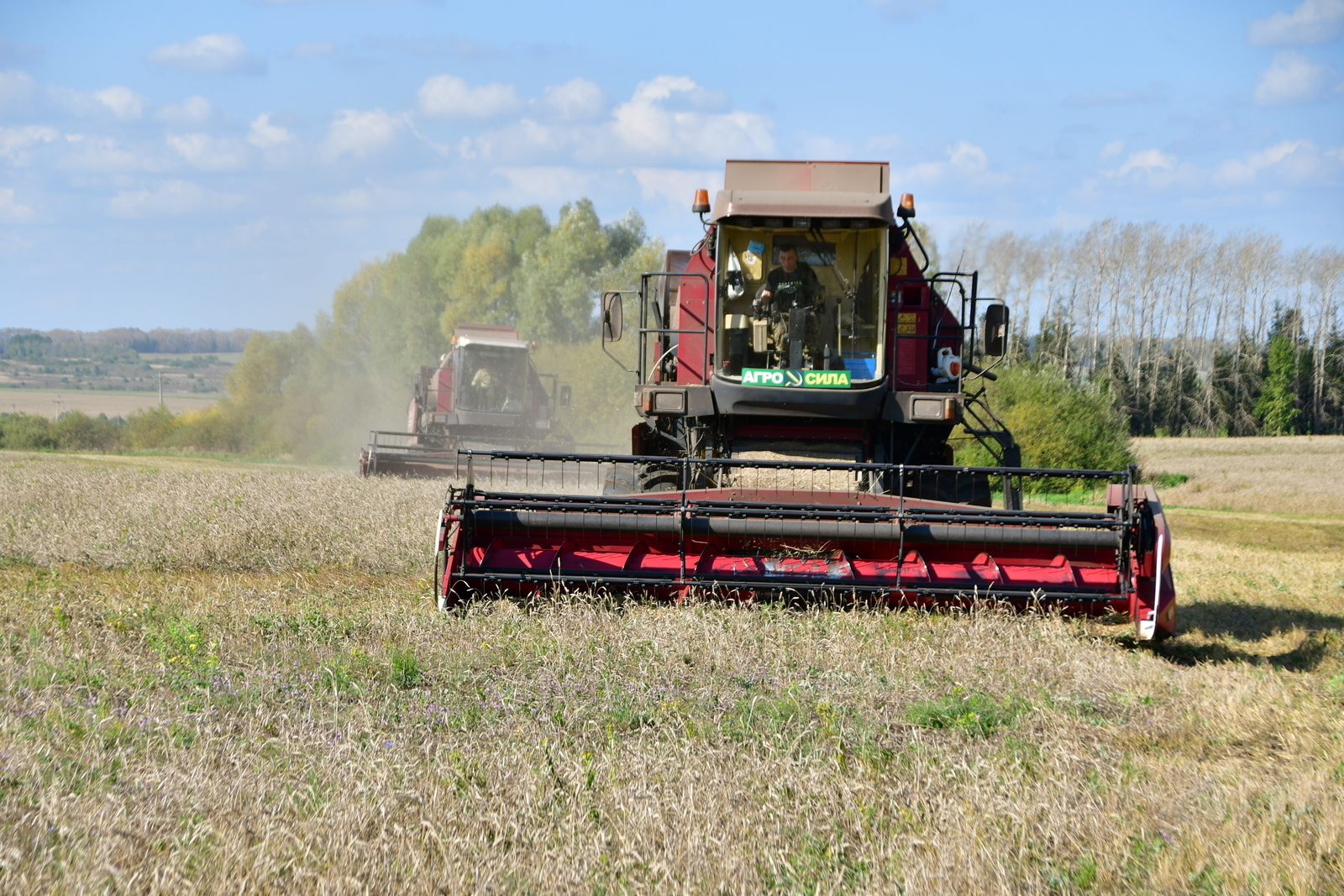 Башкирия нарастила экспорт продукции АПК