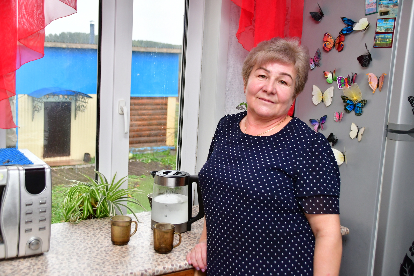 Свинарка из Барабановки