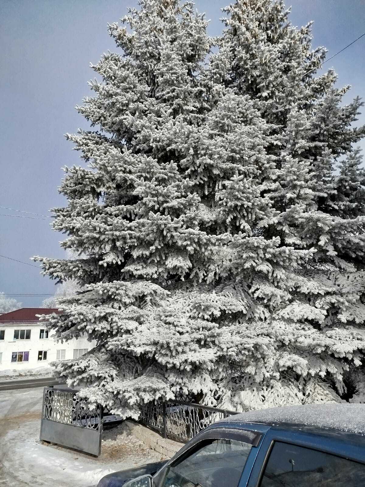 Пришел Клим Холодный