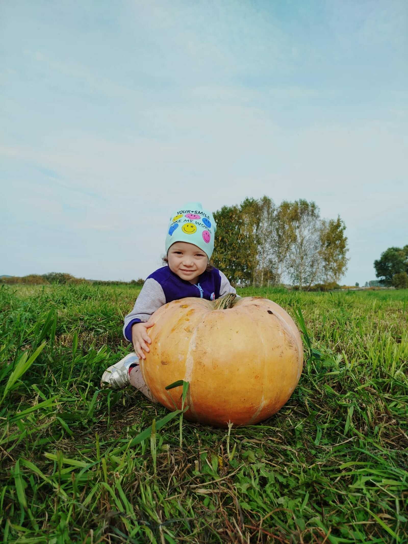 Фотоконкурс «Великан на грядке»: Ялиловым тыквы хватит на всю зиму