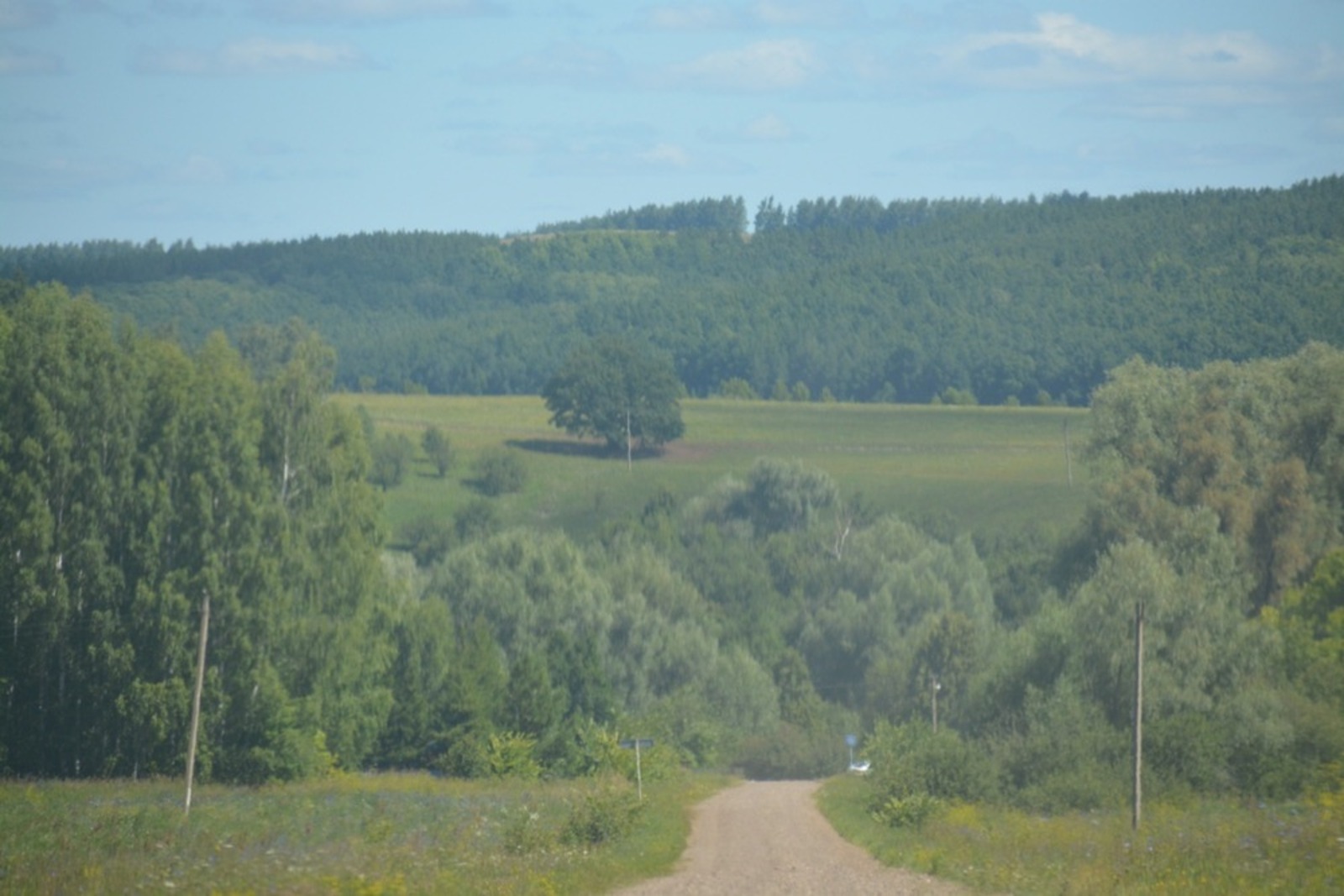 Ильдар Шарипов  Янаульский район, Орловское сельское поселение