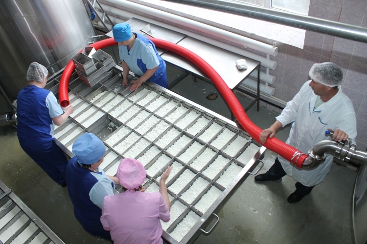 В Янауле открылся цех по производству сырных зерен «Кальята»