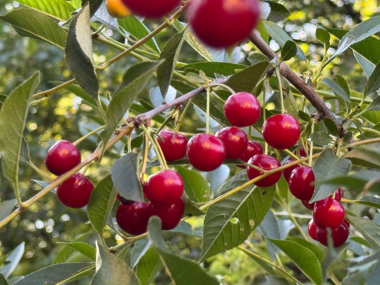 В Башкирии ожидаются температурные качели от +6° до +27°
