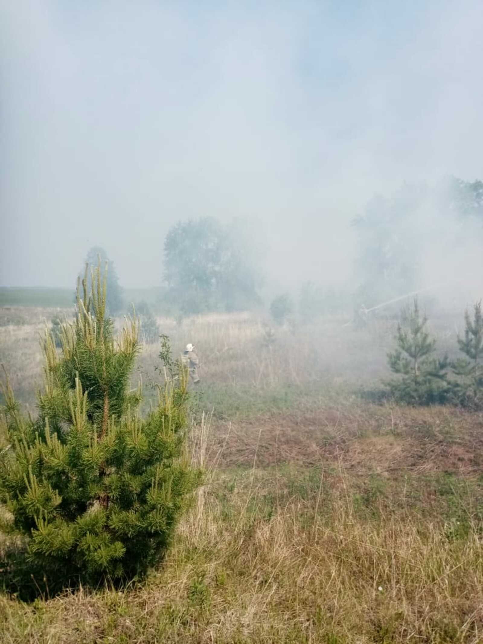 Обзор ЧП: возле нефтескважины горела трава; близ Султыево опрокинулся Рено Сандеро