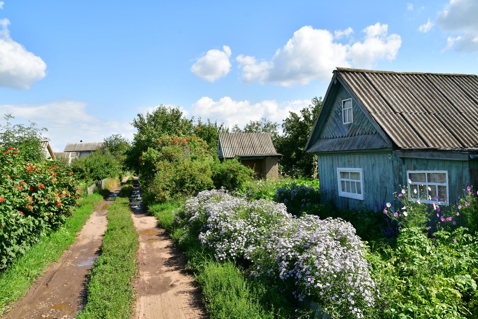 СНТ: как решить проблему с водой?