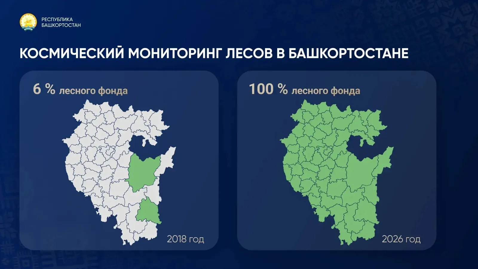 100% лесного фонда Башкирии находится под спутниковым наблюдением