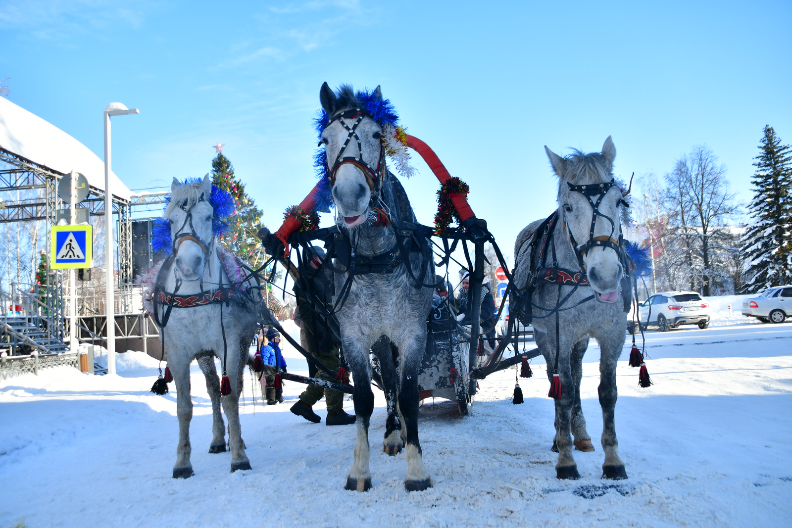 Гороскоп на 2026 год по знакам Зодиака: хотите – верьте, хотите - проверьте