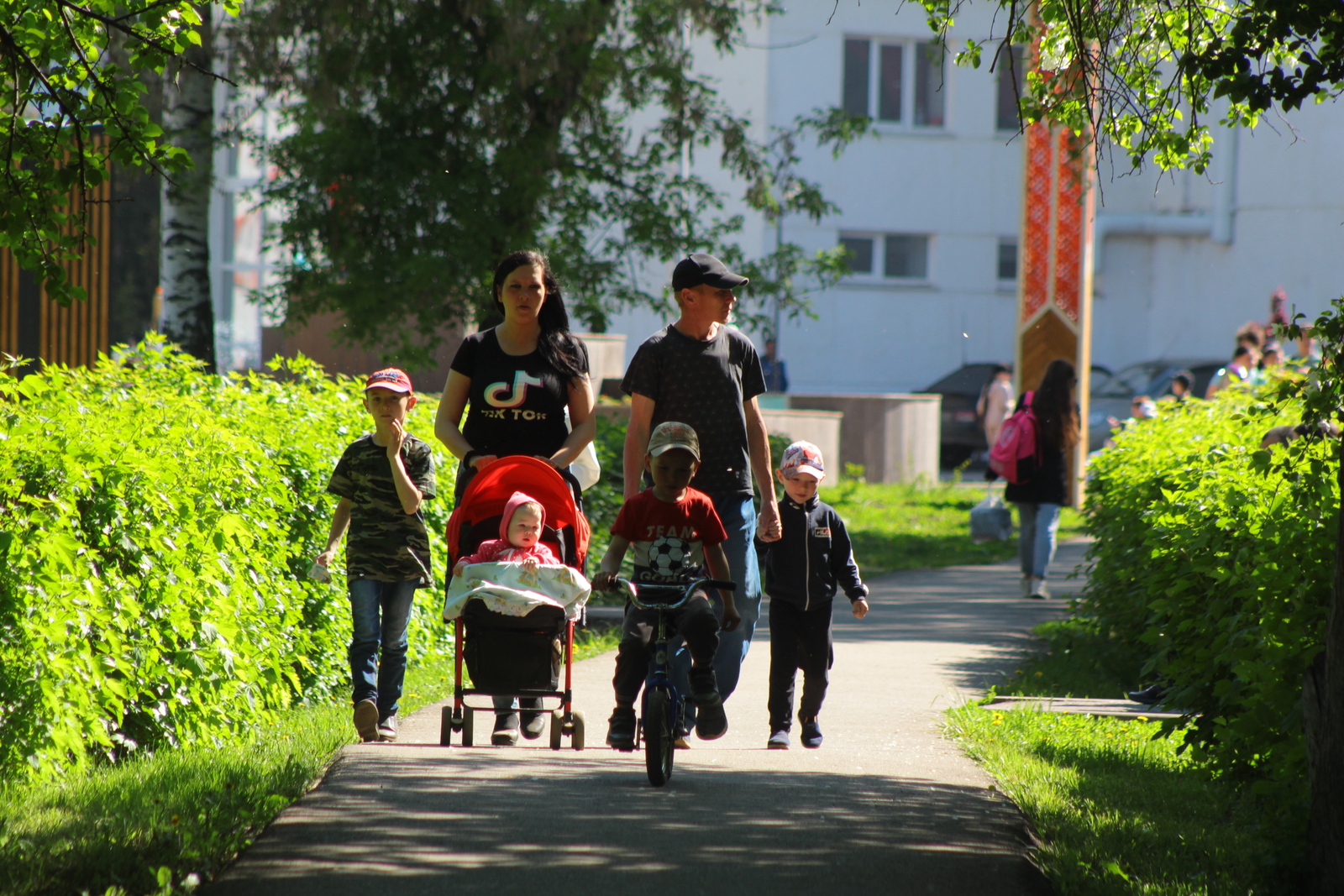 В России определили меры соцподдержки многодетных семей