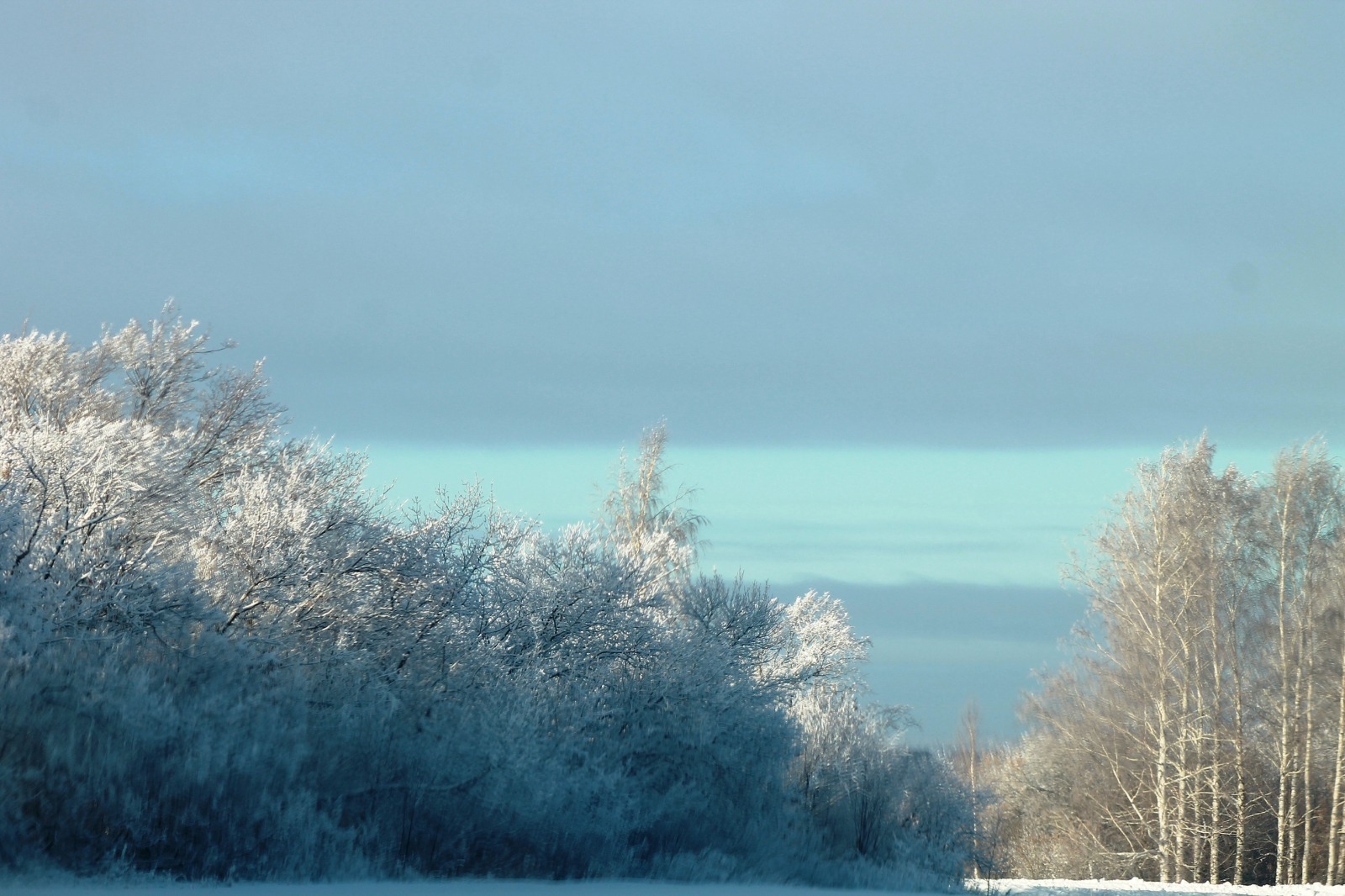 Фото Ильдара Шарипова  Зима в Янаульском районе