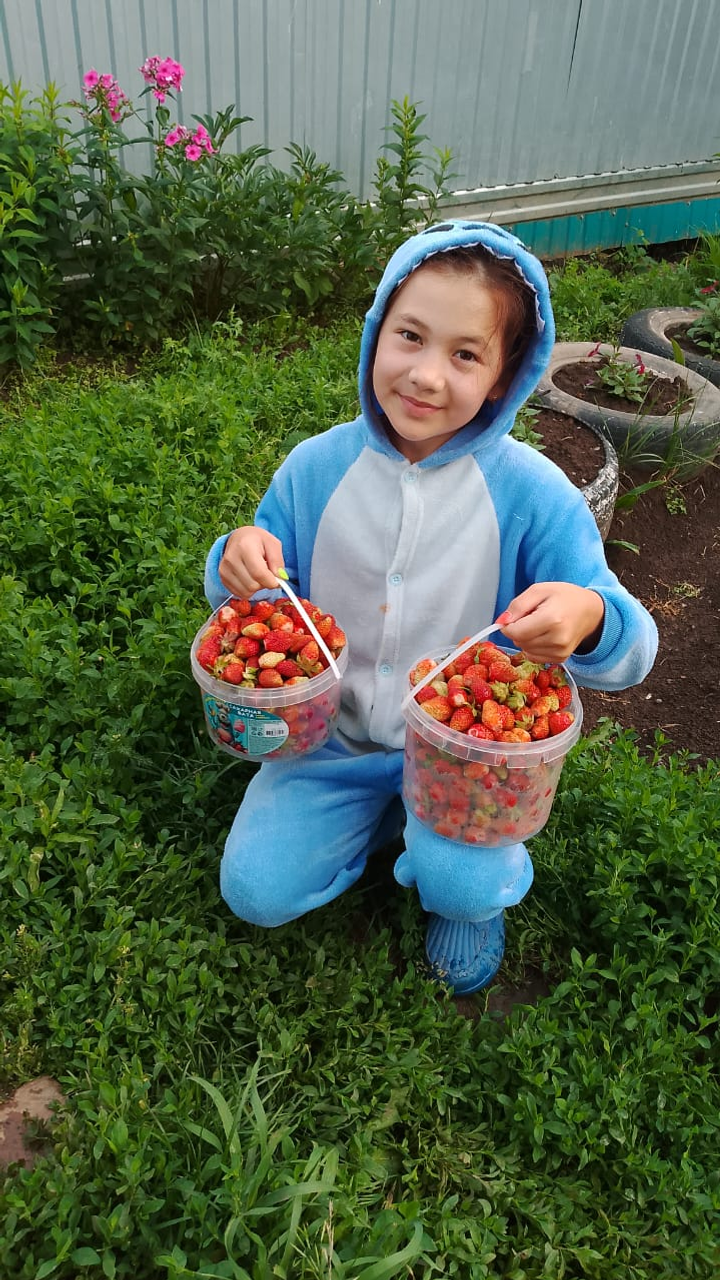 В конкурсе «ЯЗ» могут принять участие все желающие