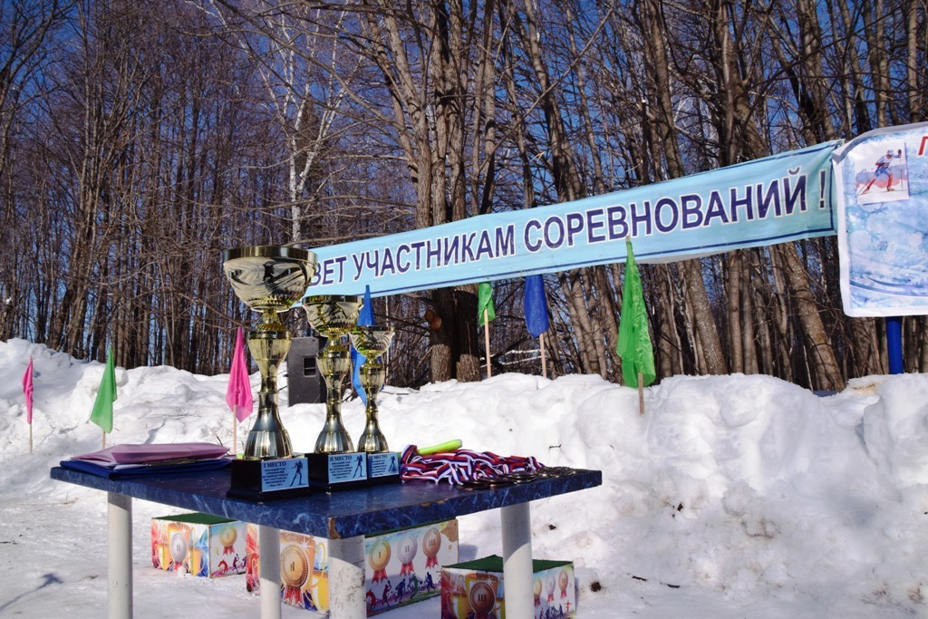 В Янаульском районе в рамках Спартакиады школьников прошел зональный этап соревнований по лыжным гонкам