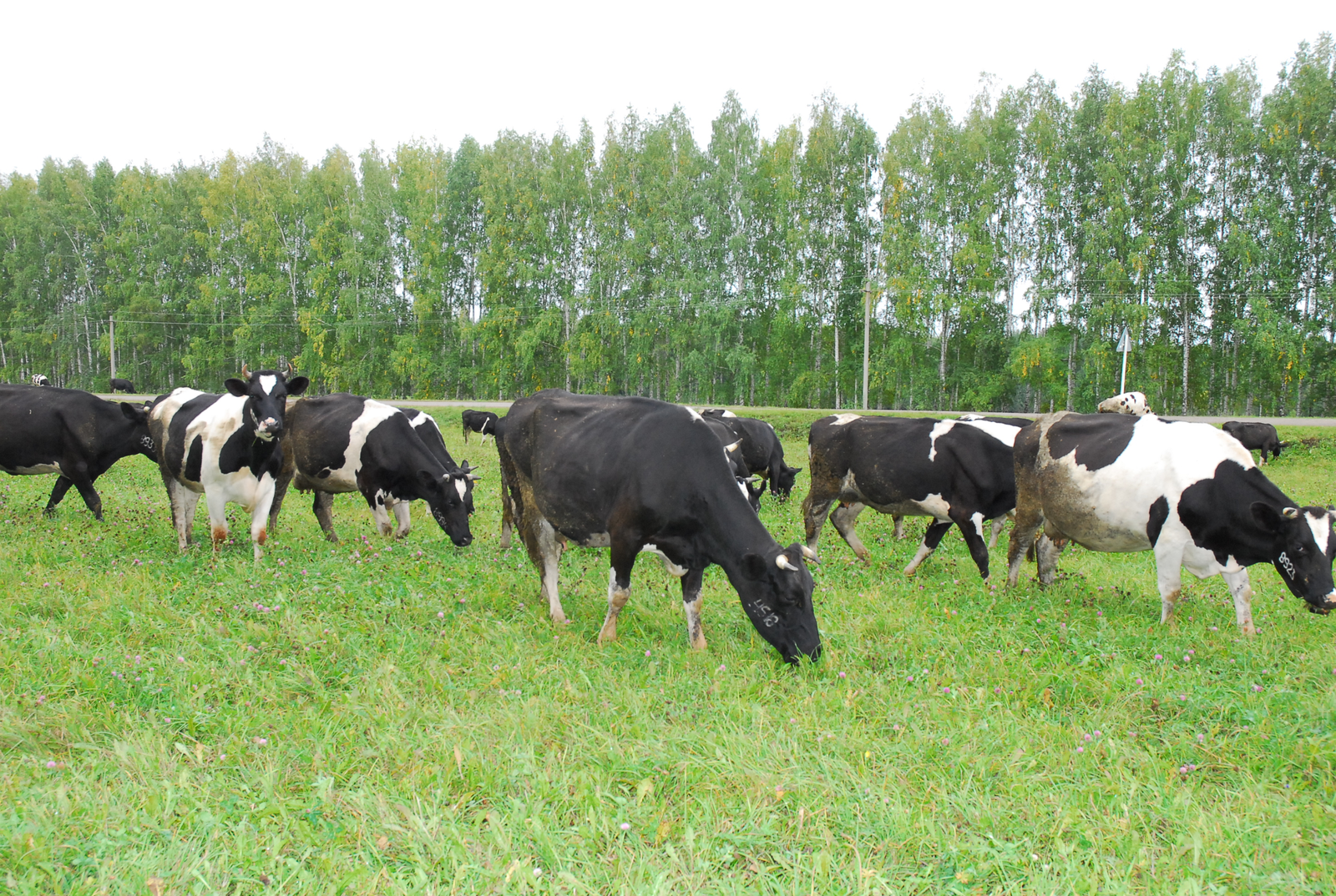 Как не допустить беды?