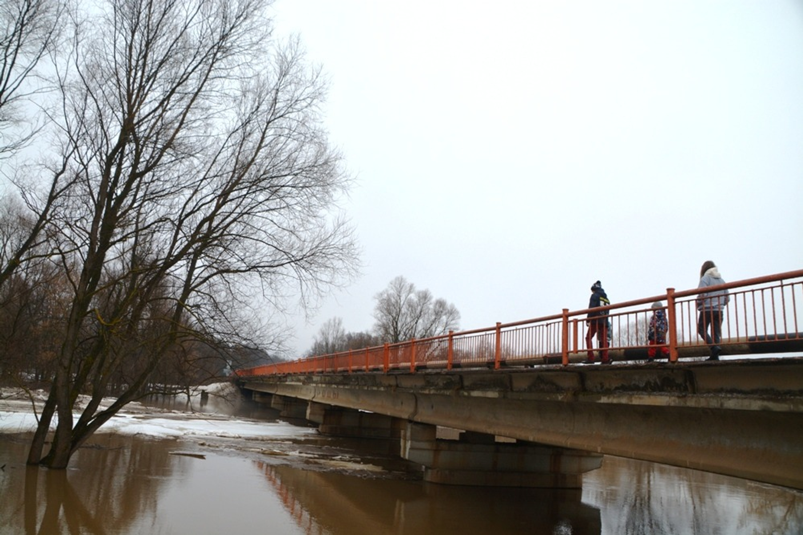 Ильдар Шарипов  Мост через реку Буй