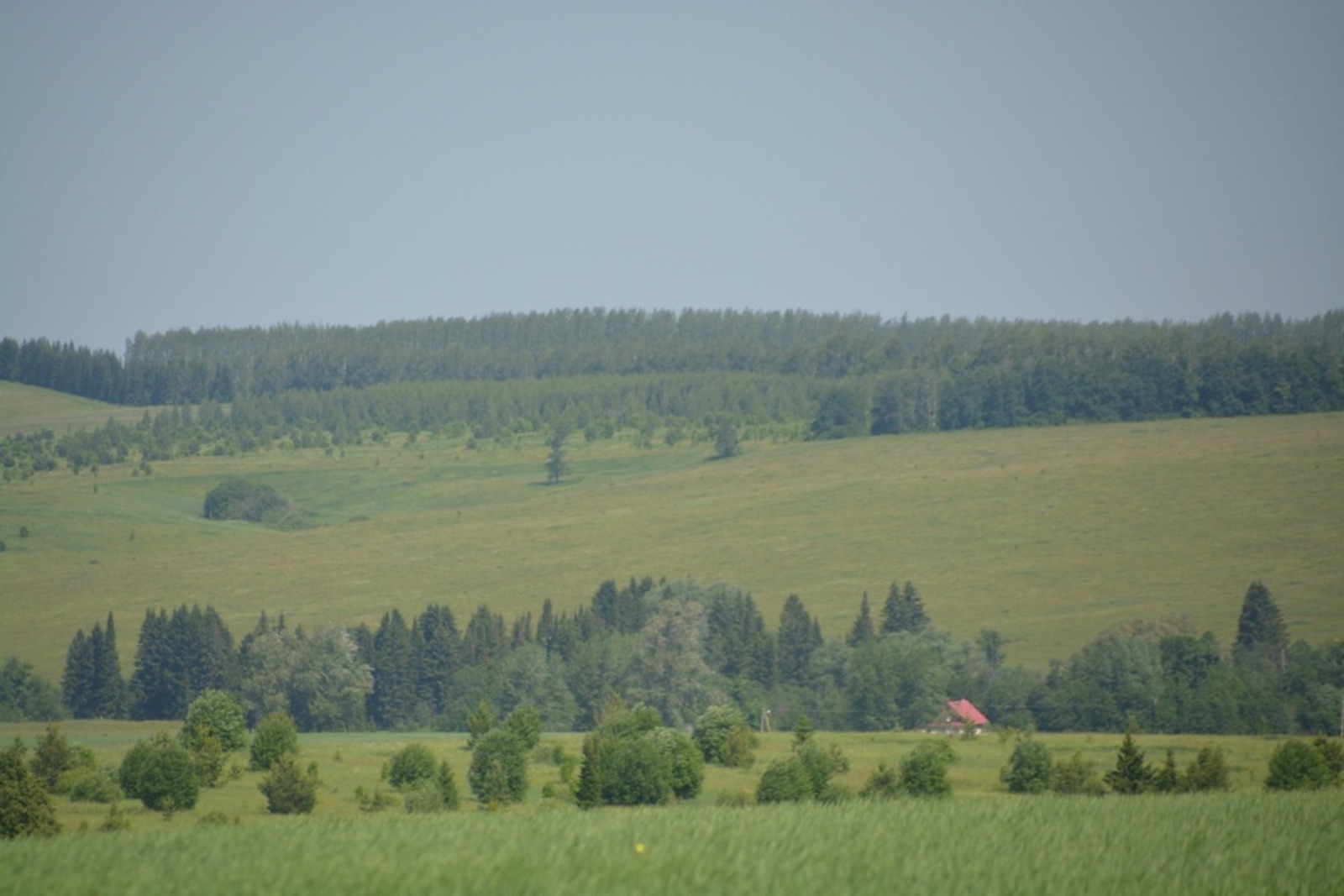 Ильдар Шарипов  Лето в Янаульском районе
