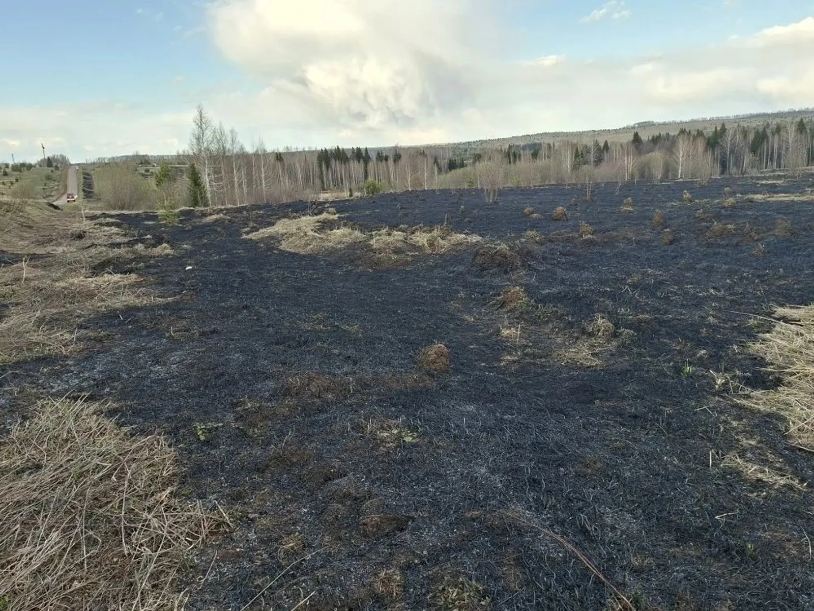 В Янаульском районе в Асавдыбашском сельском поселении горела сухая трава