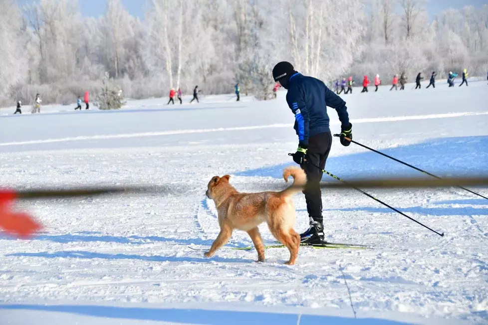 Морозы спорту не помеха!
