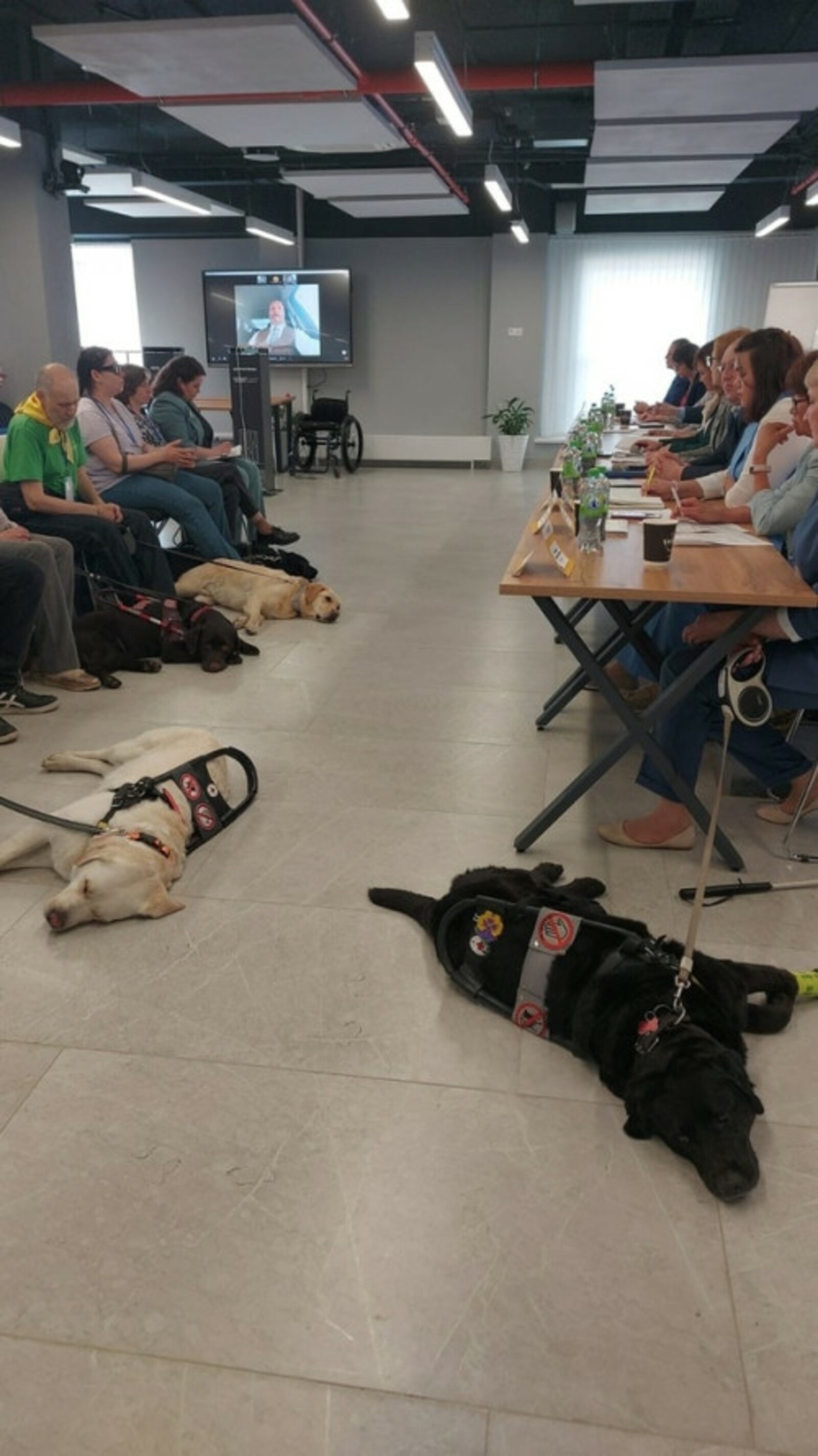 В Межвузовском кампусе Уфы провели встречу с владельцами собак-поводырей