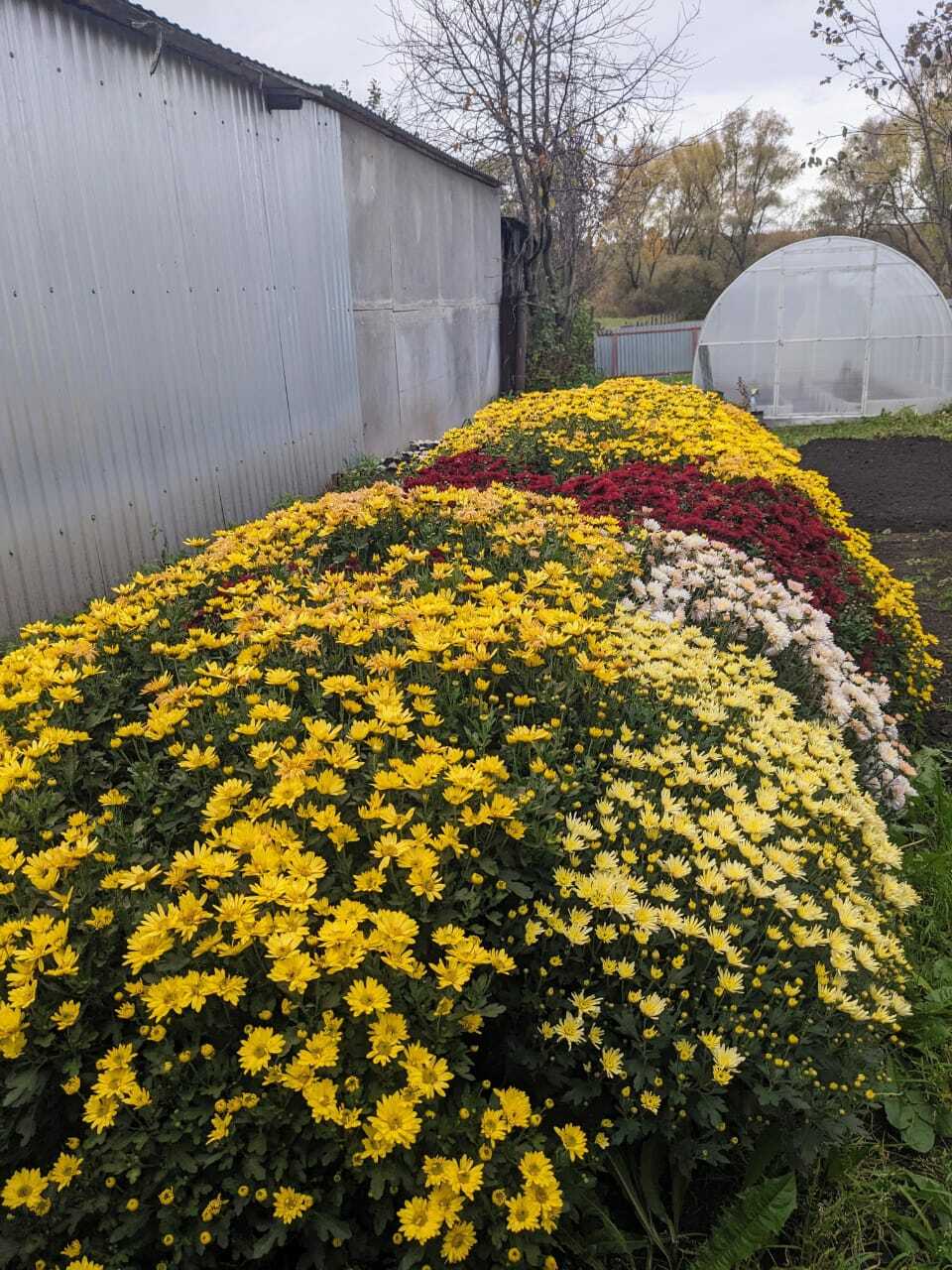 Хотела стать учителем, а выбрала медицину. И ничуть не жалеет об этом