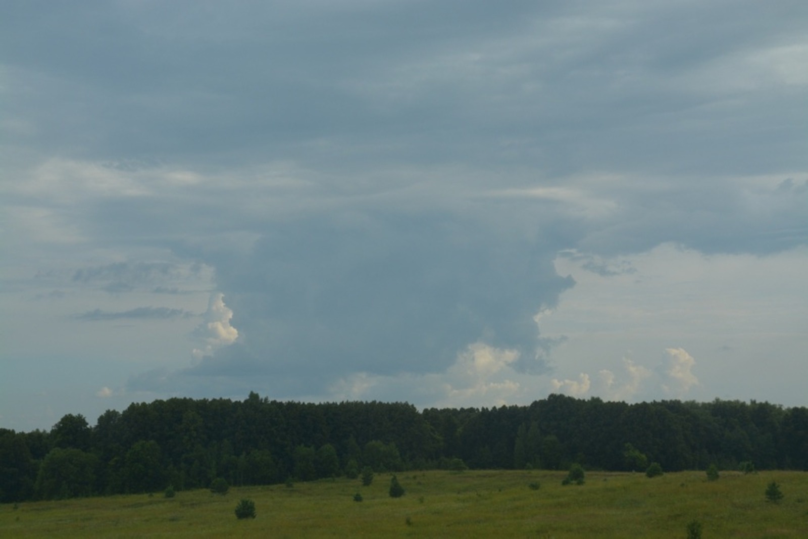 Ильдар Шарипов  Лето в Янаульском районе