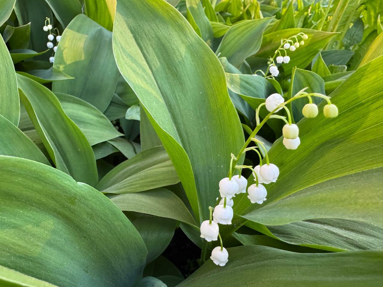 Башкирию накроет аномальная жара