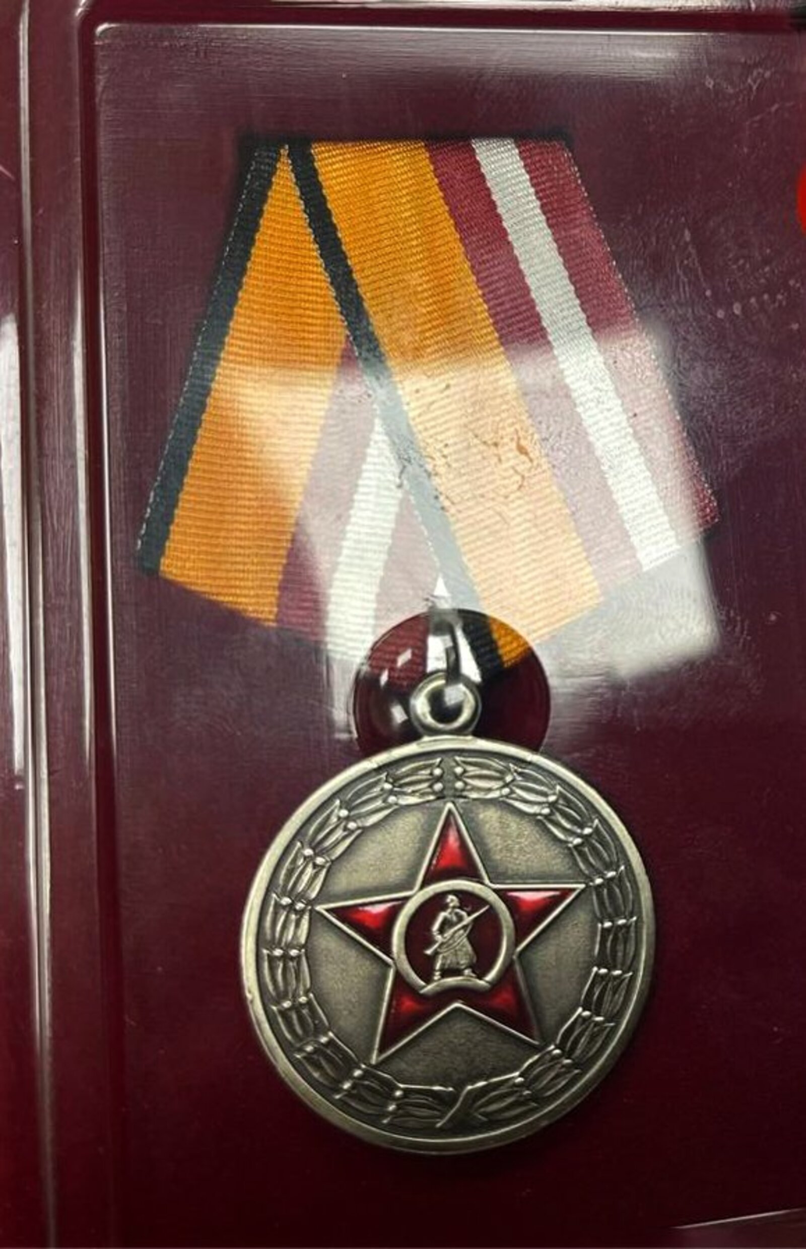 Боец батальона имени Доставалова из Янаульского района получил медаль