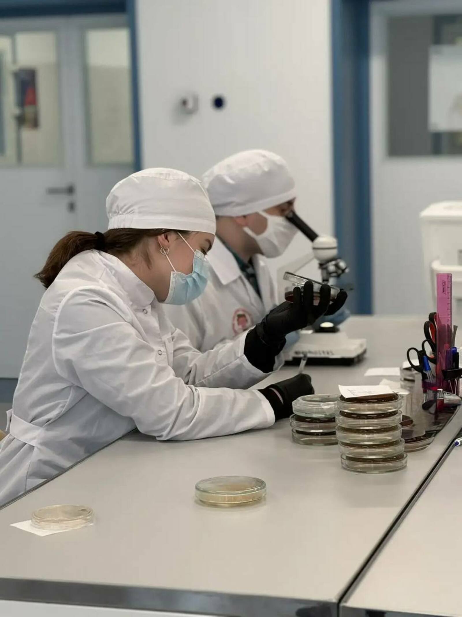 сайт Межвузовского кампуса Уфы Евразийского НОЦ мирового уровня. В БГМУ создали тест-систему для поиска «бактерии стройности» у человека