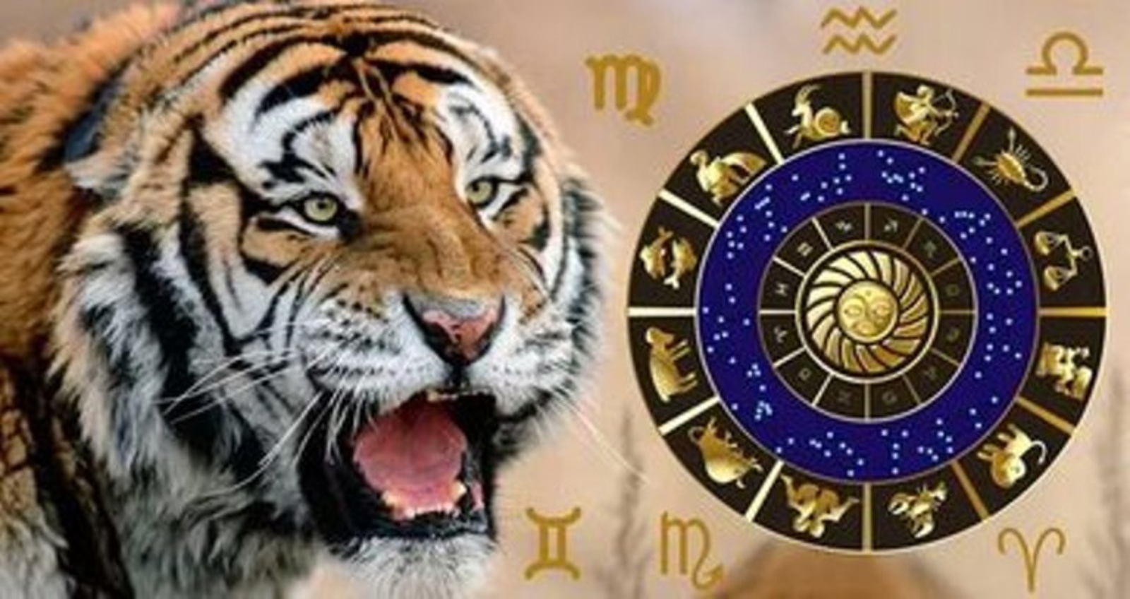Гороскоп по знакам Зодиака: какие перемены произойдут в жизни в год Тигра