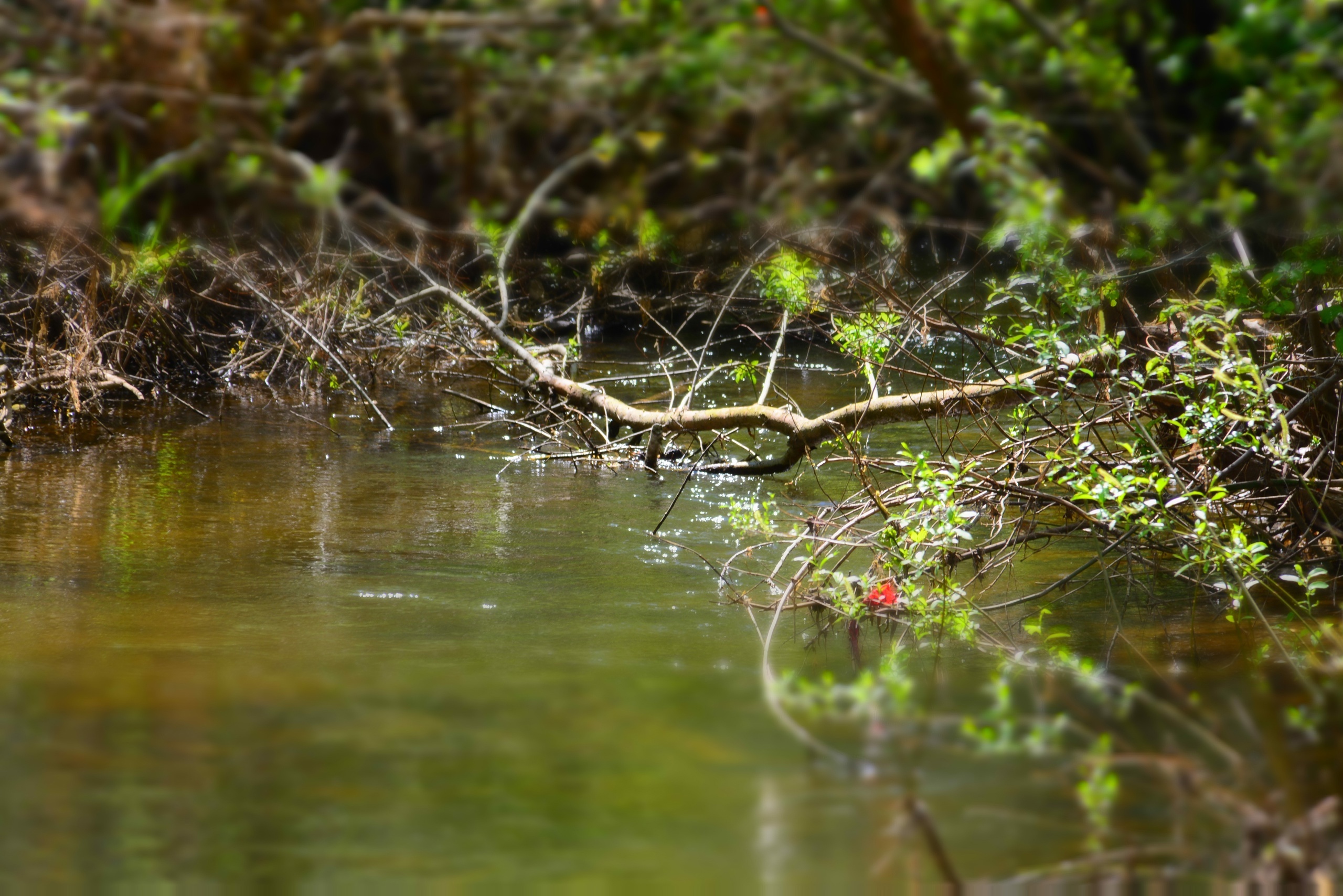 В Башкирию возвращается теплая и ясная погода