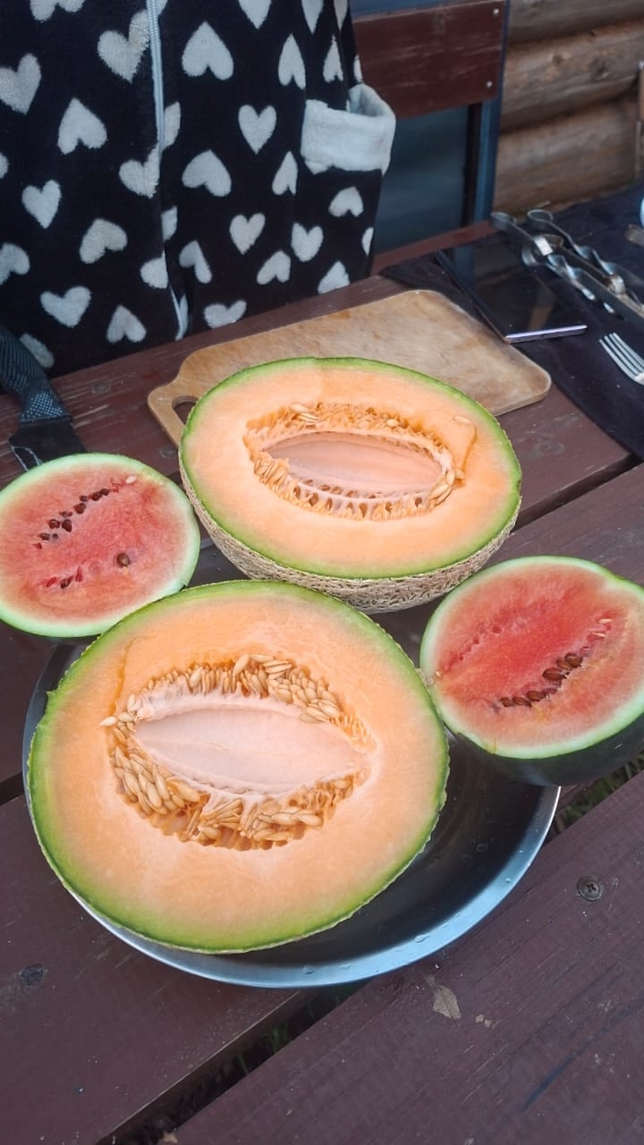 Главный садовод и мамин помощник Раян Галиханов