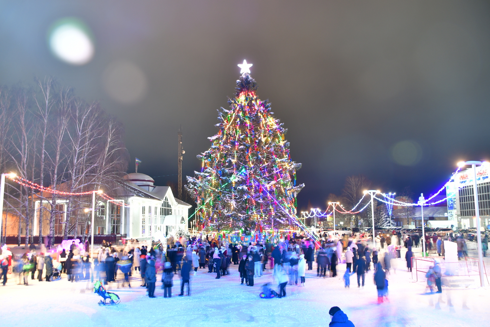 Стали известны победители республиканского конкурса «Елки Башкортостана»