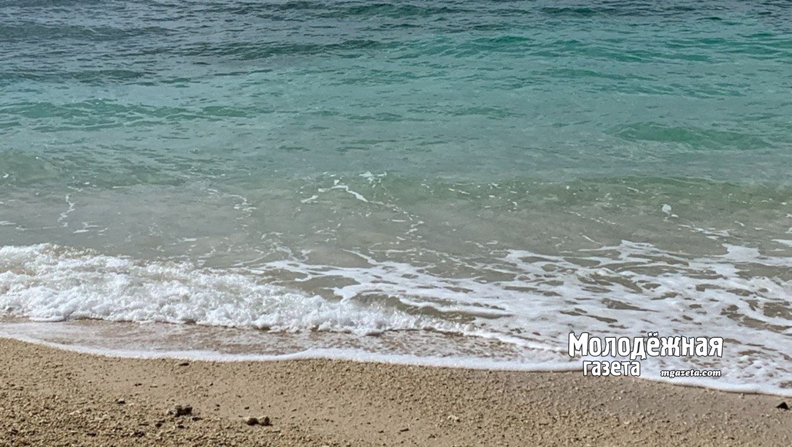 Как попасть в «Артек» бесплатно