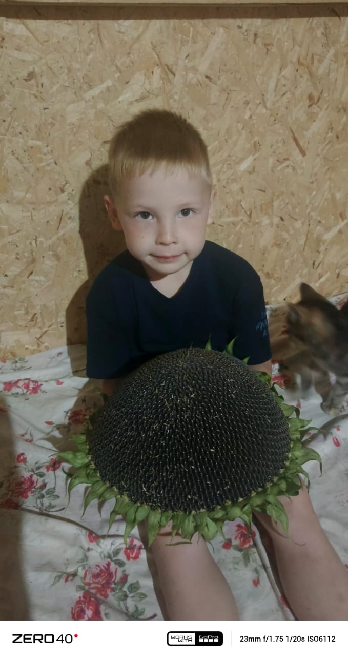 Главный садовод и мамин помощник Раян Галиханов