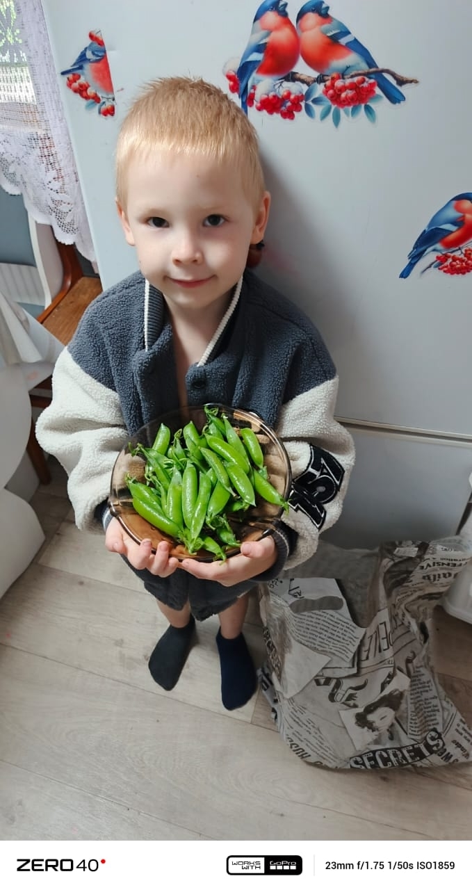 Главный садовод и мамин помощник Раян Галиханов