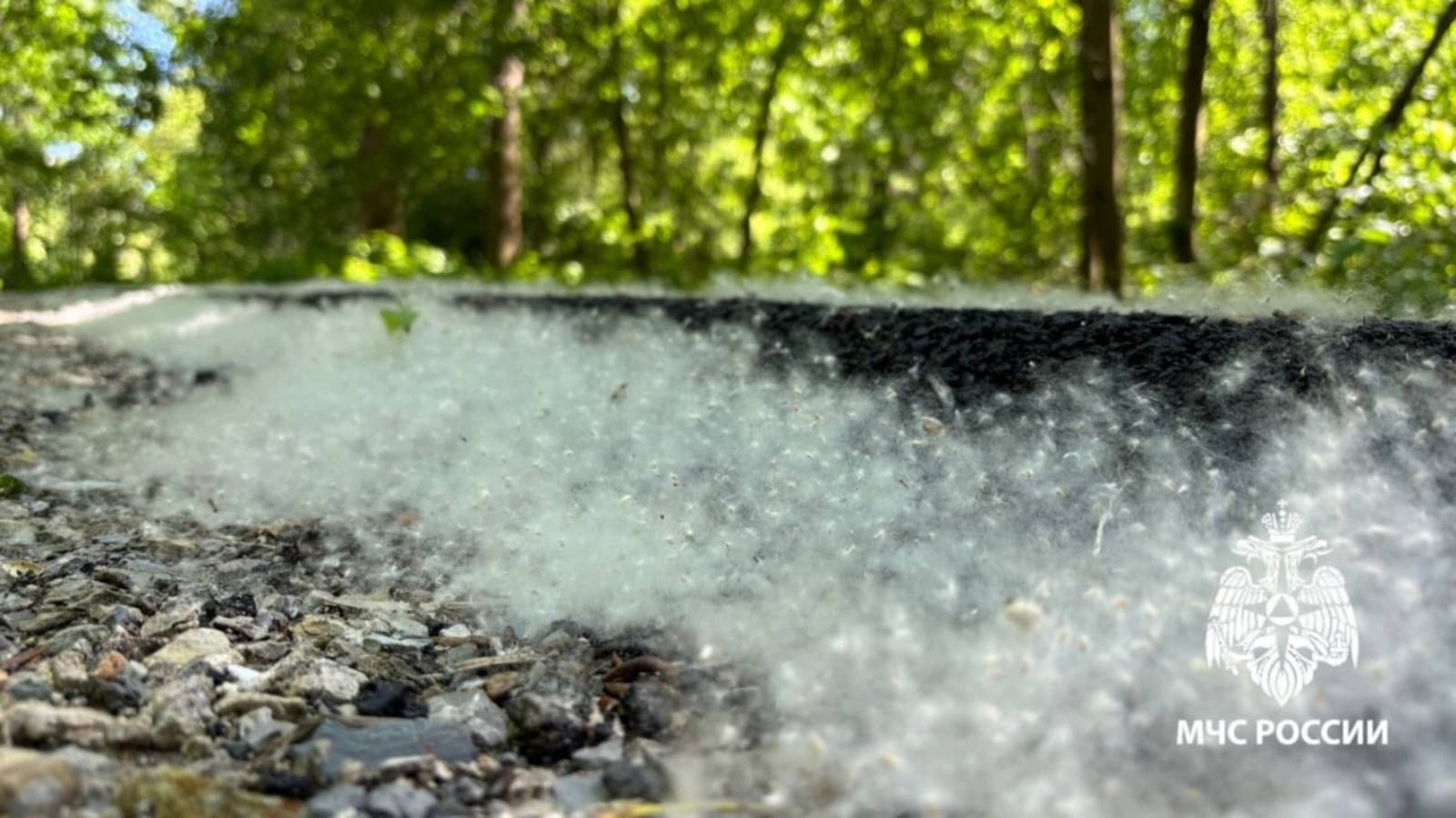 В МЧС Башкирии рассказали об опасности горящего пуха