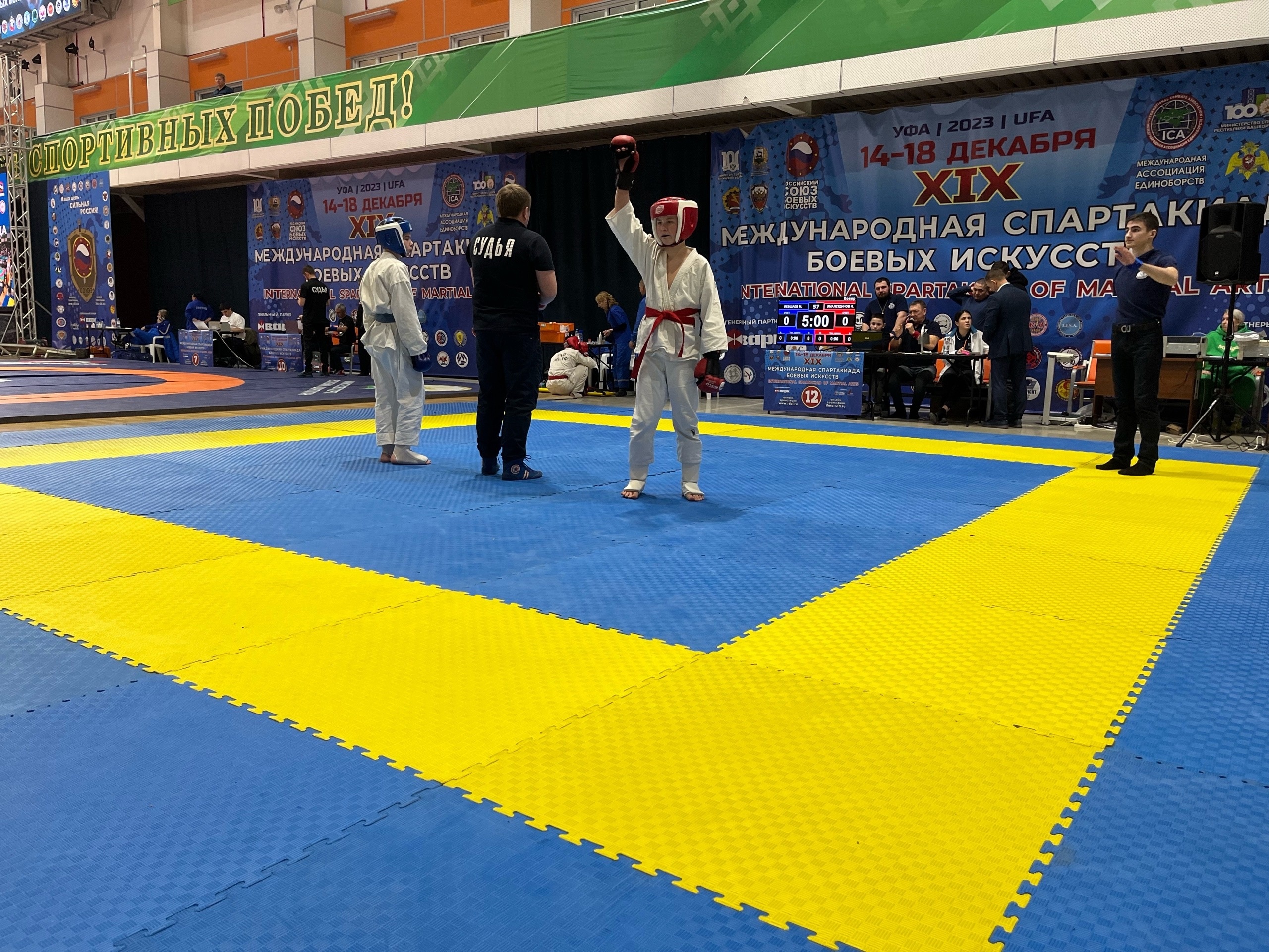Янаульские борцы завоевали шесть медалей на Международной спартакиаде боевых искусств